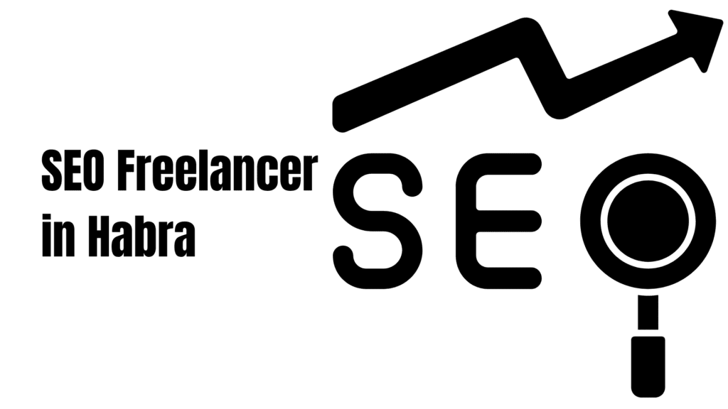 SEO Freelancer in Habra